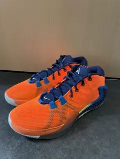 NIKE zoom freak1