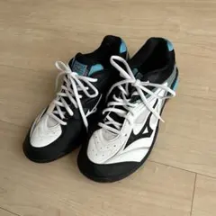 Item thumbnail for item 72c99c9e-452c-49fa-b712-d9e3ce8cf5b5