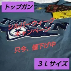 ９月２４日まで、値下げしました♦✨トップガン✨♦３Ｄロゴ　トップガン刺繍　半袖Ｔ
