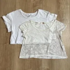 クロップド　半袖Tシャツ　半袖　Tシャツ　レイヤード　重ね着　白　2枚セット