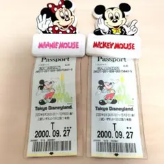 東京ディズニーランド パスポートチケット