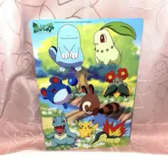 ポケモン ポケットモンスター ビッグサイズ　シール　下敷き 非売品
