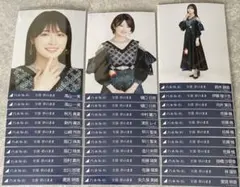 乃木坂46 生写真 全部 夢のまま まとめ売り