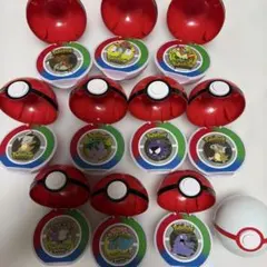 フ*ン様 ポケパークカントー 限定ピンバッジ 20個 モンスターボール付