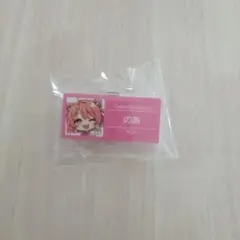 カラフルピーチ　からぴち　のあ　からぴちパラダイス　パラぴち　名札バッジ