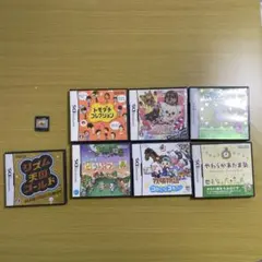 NintendoDS バラエティパック 説明書付き