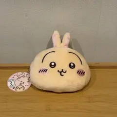 ちいかわ　ぬいぐるみパスケースポーチ　うさぎ
