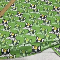 ポリエステル裏毛ニット生地グリーン