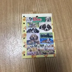 平成レトロ　シールコレクション　実写　犬　シールブック