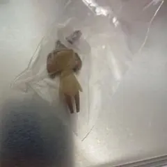 どこでもいっしょ めじるしアクセサリ ー　ピエール