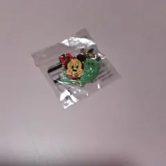 ディズニー　チャーム