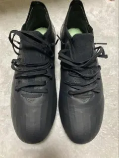 Item thumbnail for item 0ab6a268-0a29-4b69-9686-c13e06843c34