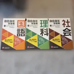 大技林3冊セット 97年春版、96年春版、96年秋版 - メルカリ