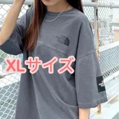 希少 L 韓国限定 ノースフェイス ロゴ ステッチ Tシャツ グレー L