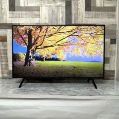 ほぼ未使用✨SHARPスマートテレビ 22年製ネット動画アプリ/地上波 24型