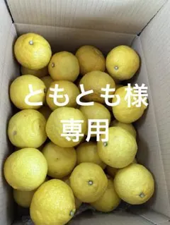 ともとも様専用