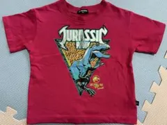 ジュラシック・パーク 半袖Tシャツ メンズ大きいサイズ5XL(6L相当 