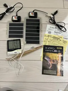 Item thumbnail for item 1199aa33-a74c-40dd-a23a-af9e791330f0