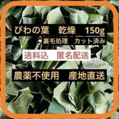 ⑥150g びわの葉 枇杷の葉カット裏毛処理済 農薬不使用 産地直送ペットびわ茶のサムネイル