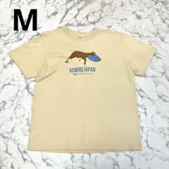 ヴェルサイユリゾートファーム／アドマイヤジャパン Tシャツ Mサイズ