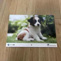 Item thumbnail for item a990dedb-2529-427b-9224-7f87e8247424