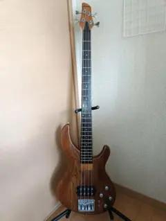 最終値下げ】 Aria Pro II IGB-55ROSE 5弦 ベース - メルカリ