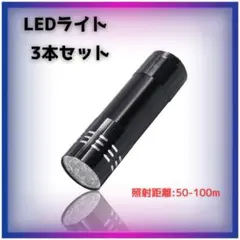 LEDライト 3本セット 懐中電灯 小型 軽量 防災
