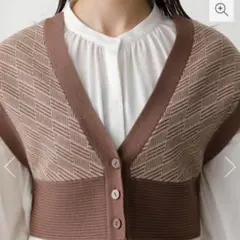 美品　AZULBY MOUSSY アズール　ニットベスト　ブラウン　着回し　F