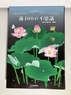 蓮100の不思議