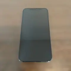 4793 iPhone 12 Pro ブルー 128GB SIMフリー 美品