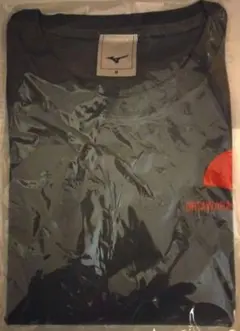 大田原マラソン2025 Tシャツ Mサイズ グレー