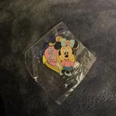 ディズニーシー　五周年　ピンバッチ　ミニー