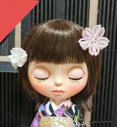 Item thumbnail for item 7272b8c0-41f9-4390-ac17-d2376cd2d702