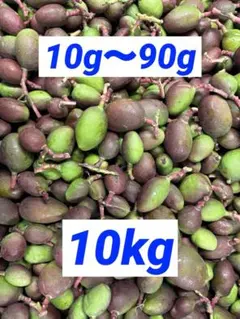 摘果マンゴー グリーンマンゴー 青マンゴー 15kg 10g〜70g - メルカリ
