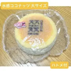 Kiki Squishy チーズケーキ スクイーズ 水感ココナッツ 大 ハトメ付