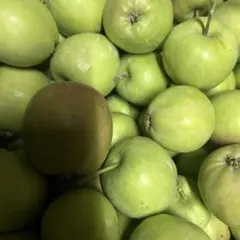 青森県産摘果りんご加工用13kg④のサムネイル