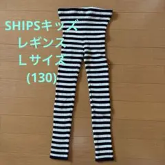 SHIPS ボーダーレギンス