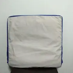 True Sleeper 青色クッション