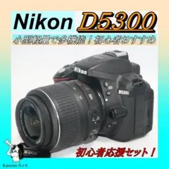 新品級⭐S回数434回⭐大人気 Nikon D5300 ⭐初心者キット⭐一眼レフ