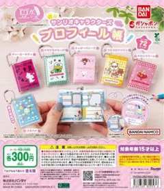豆ガシャ本 サンリオキャラクターズ「プロフィール帳」フルセット②