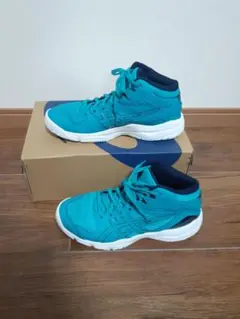 ぽぽちゃん様　ダンクショット ブルー　22.5cm　 バスケットシューズ