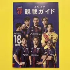 FC東京 2025 観戦ガイド