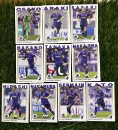 サンフレッチェ広島 スポーツカード