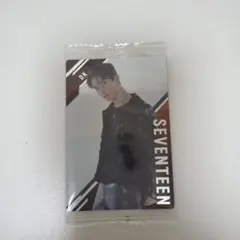 SEVENTEEN DK トレーディングカード