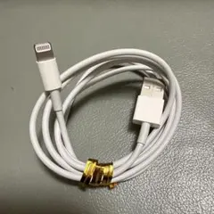 iPhone純正イヤホン付属品　ライトニングケーブル1m