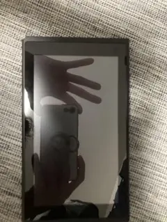 Nintendo Switch グレー 動作確認済み 付属品あり