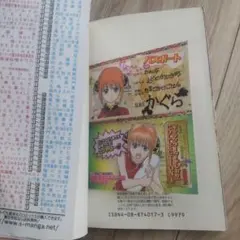 神楽偽造パスポート　銀魂―ぎんたま― 11　初版