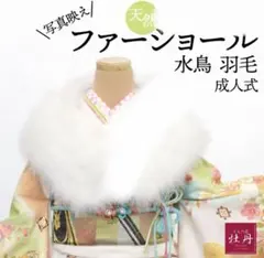 天然 振袖用 水鳥 ファーショール KIMO-NOBLE 成人式 ホワイト