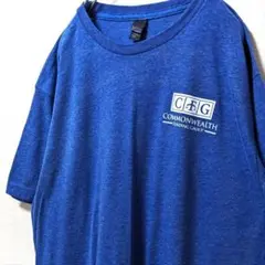 タルテックスCFGコモンウェルスファンディンググループTシャツブルー青L古着