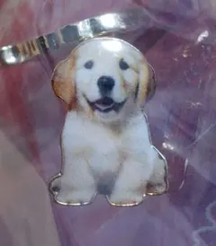 リアル　犬　ピアス　ゴールデンレトリバー？　ラブラドール？　アクセサリー
